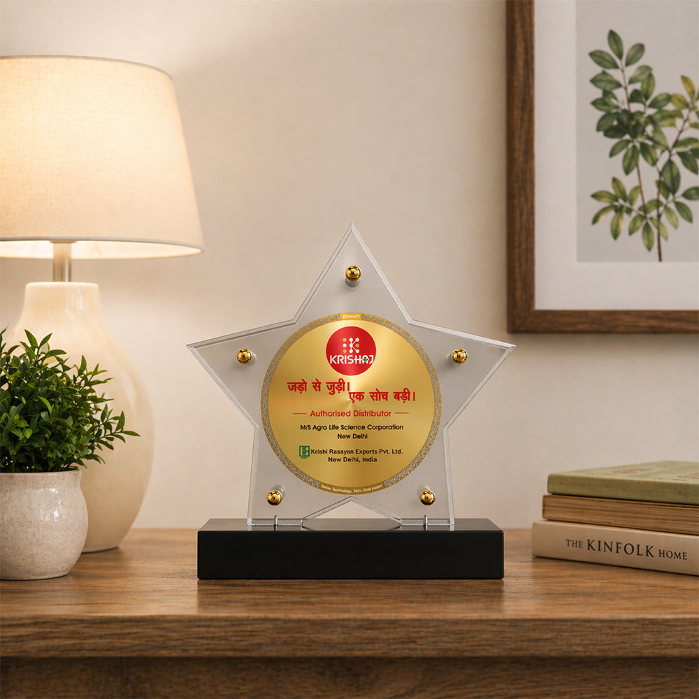 Customized Premium Acrylic Crystal Trophy with 24K Gold Foil Printing | Corporate Recognition Award