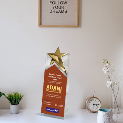 Customized Acrylic Trophy with Matter Printed & Metal Star For Corporate Gifting