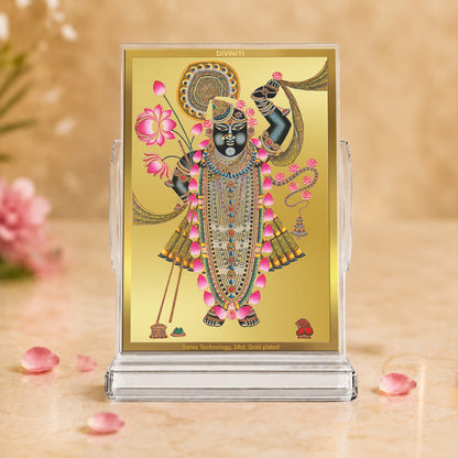 24K Gold-Plated Lord Shrinath Ji Acrylic Car Dashboard Frame | 11x7 CM