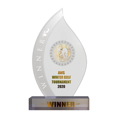 Diviniti Customized Crystal Trophy with Matter Printed | Premium Corporate Gift & Award Plaque