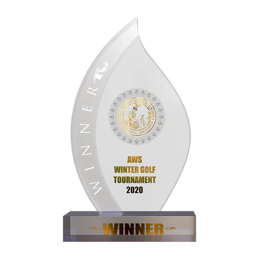 Diviniti Customized Crystal Trophy with Matter Printed | Premium Corporate Gift & Award Plaque