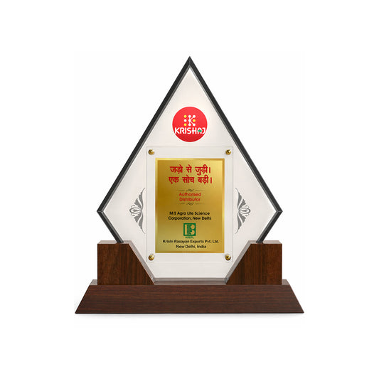 Customized Trophy with Matter Printed on 24K Gold Plated Foil | Luxury Personalized Award | Premium Corporate Gift Plaque