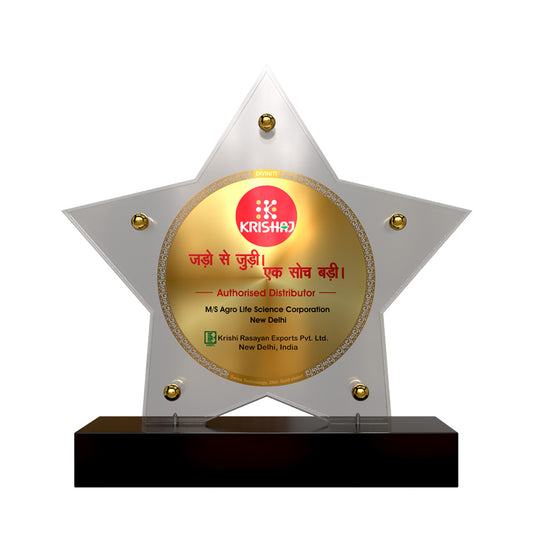 Customized Premium Acrylic Crystal Trophy with 24K Gold Foil Printing | Corporate Recognition Award