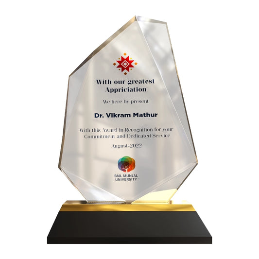 Luxury Appreciation Award Diamond Edge Acrylic with MDF Personalized Trophy with Black & Gold Base