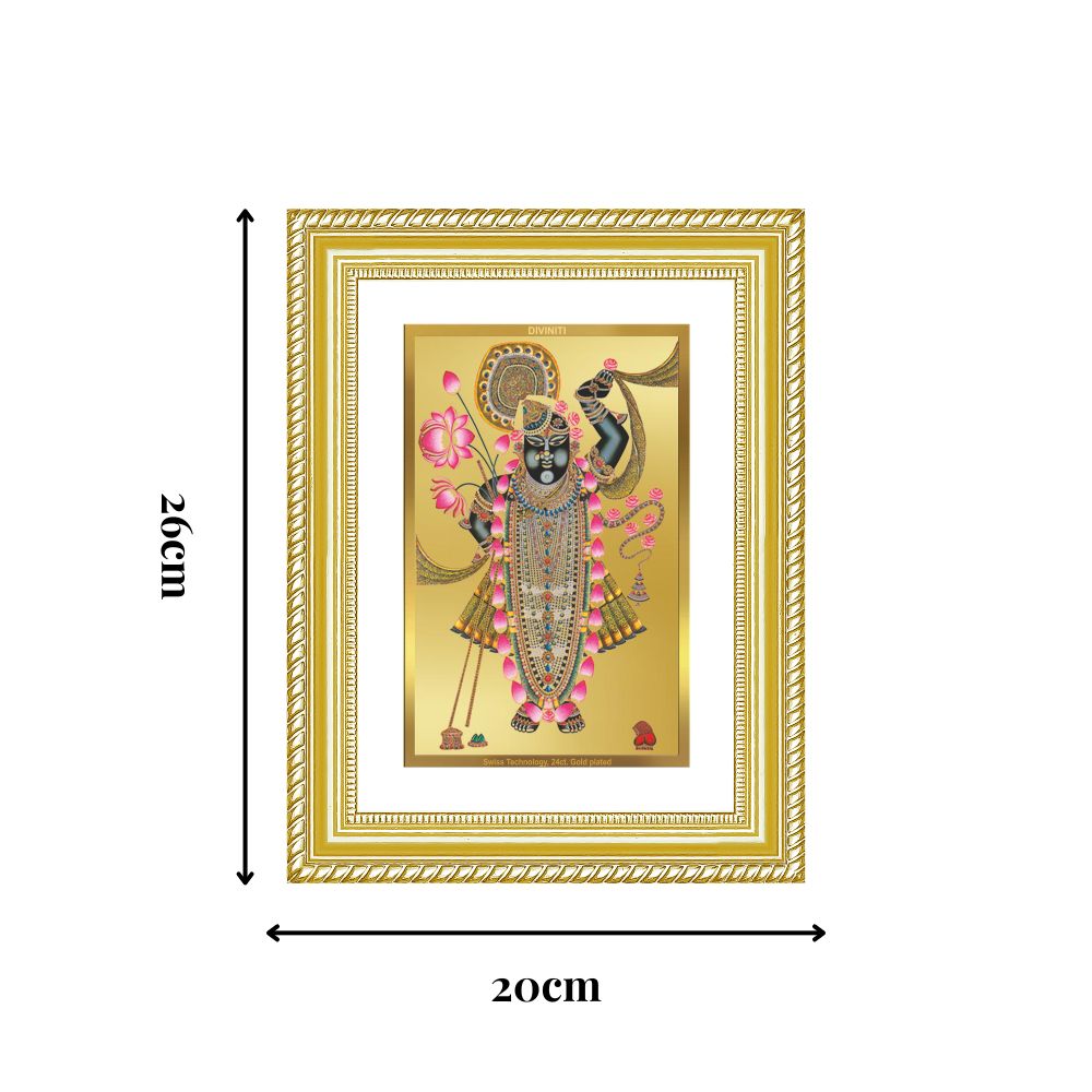 Diviniti 24K Gold Plated Shrinath Ji (Classic) Divine Wall Frame for Home Mandir & Office Decor | Luxury Spiritual Gift