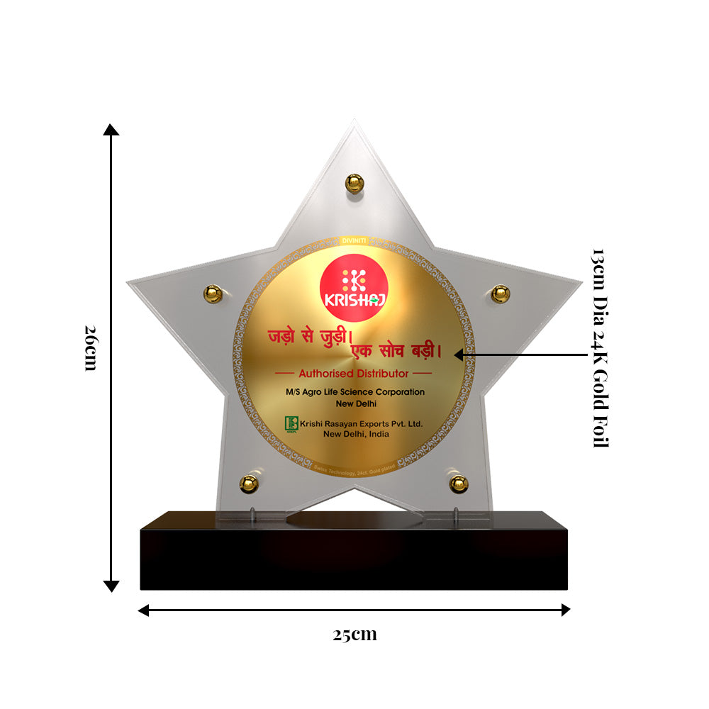 Customized Premium Acrylic Crystal Trophy with 24K Gold Foil Printing | Corporate Recognition Award