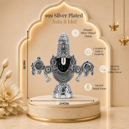 Diviniti 999 Silver Plated Antique Balaji Idol with Luxury Gift Box Décor