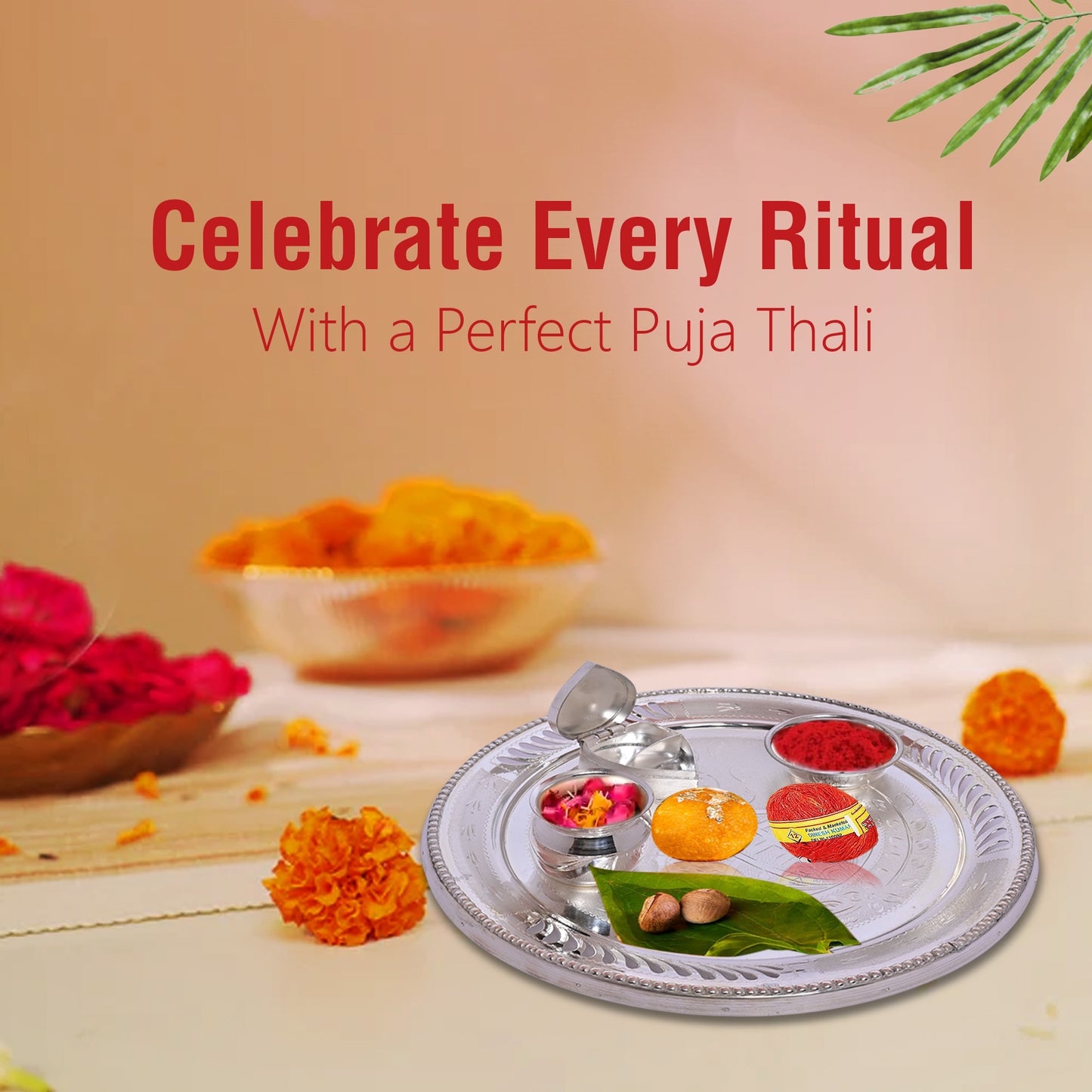 Diviniti 925 Pure Silver Puja Thali Kit Luxurious Tradition for Spiritual Ceremonies for Home & Office Décor, Puja Room Diwali Gift (279g)