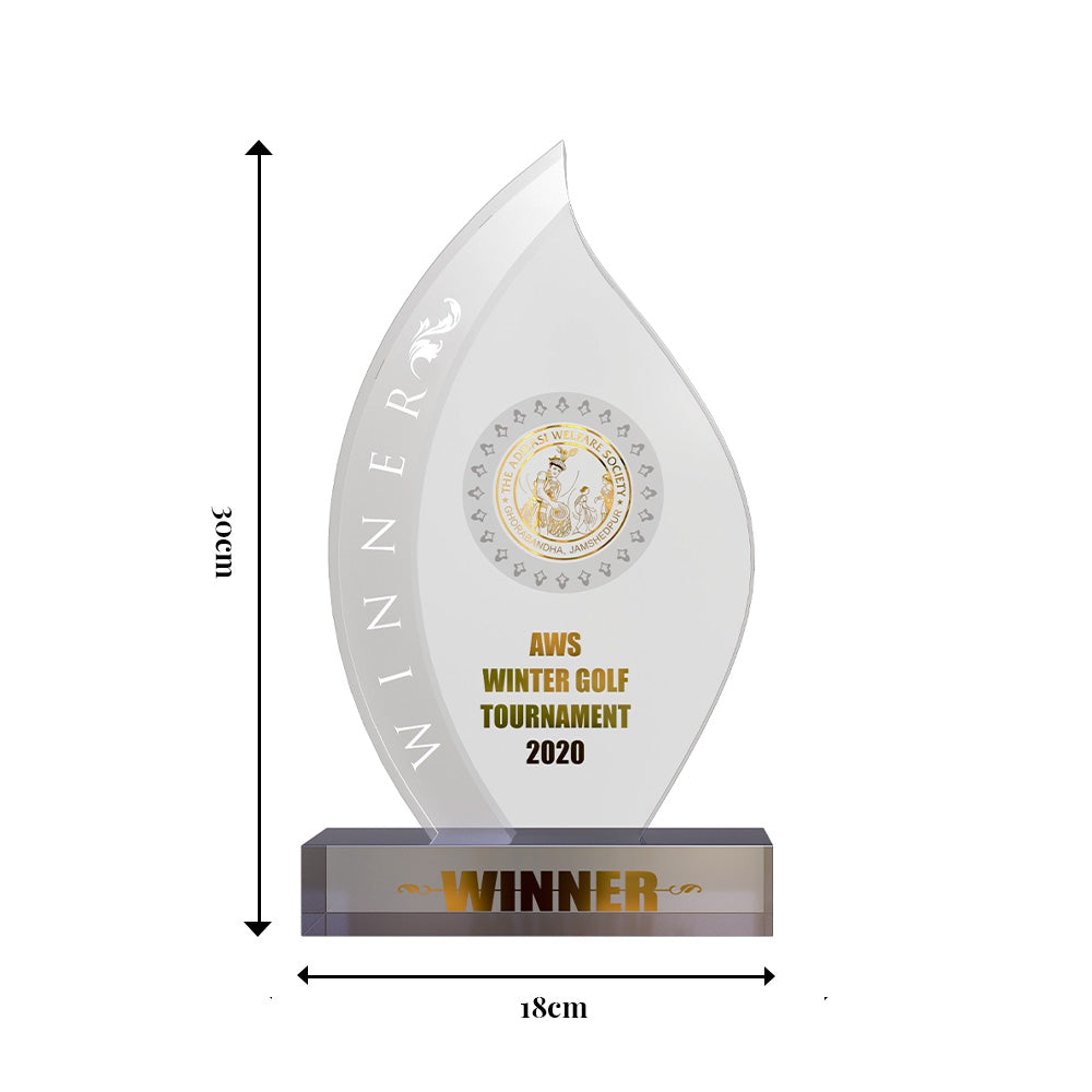 Diviniti Customized Crystal Trophy with Matter Printed | Premium Corporate Gift & Award Plaque