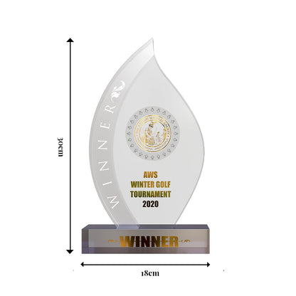 Diviniti Customized Crystal Trophy with Matter Printed | Premium Corporate Gift & Award Plaque