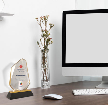 Luxury Appreciation Award Diamond Edge Acrylic with MDF Personalized Trophy with Black & Gold Base