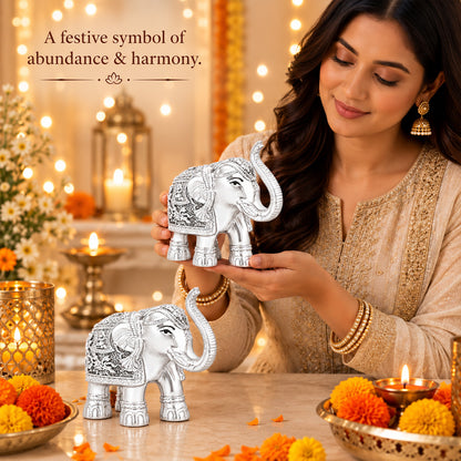999 Silver-Plated Elephant Pair | Premium Gift Box | 11x12 CM