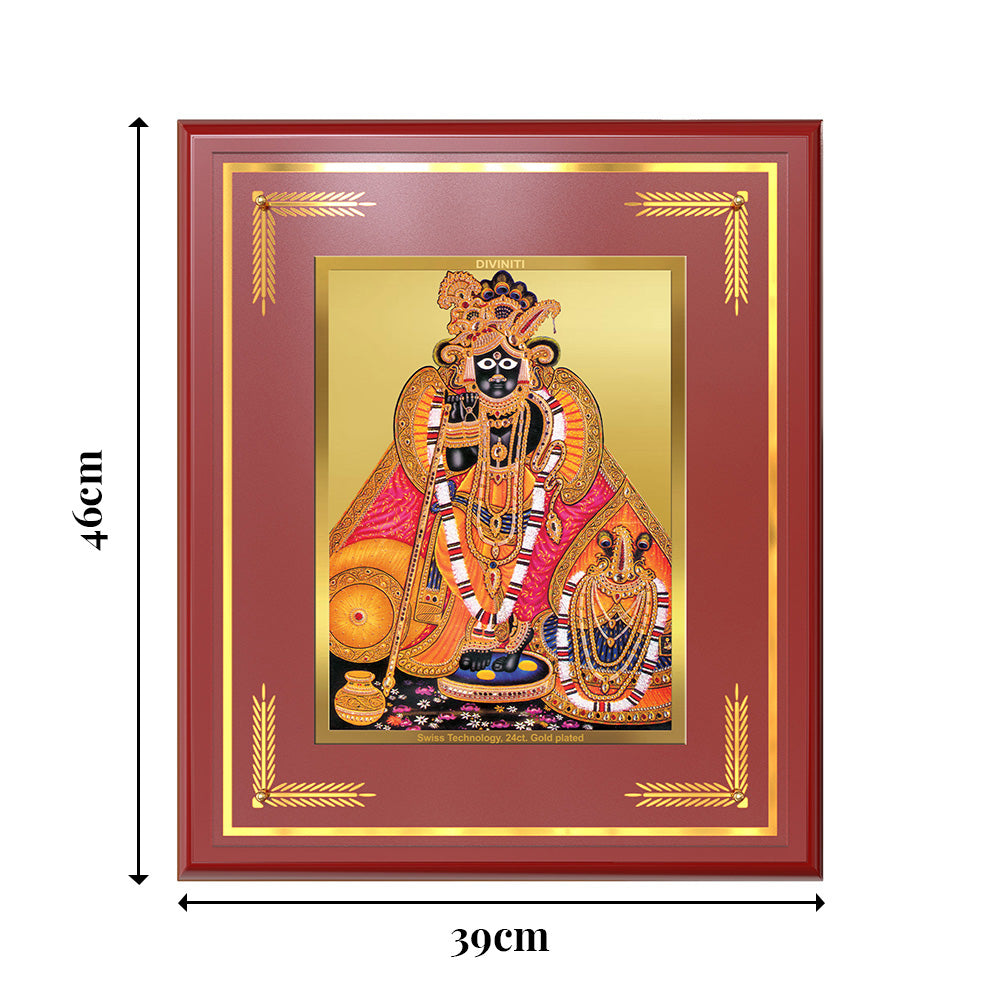 Banke Bihari | Kunjbihari Wall Mount Photo Frame in 24K Gold Plated Foil